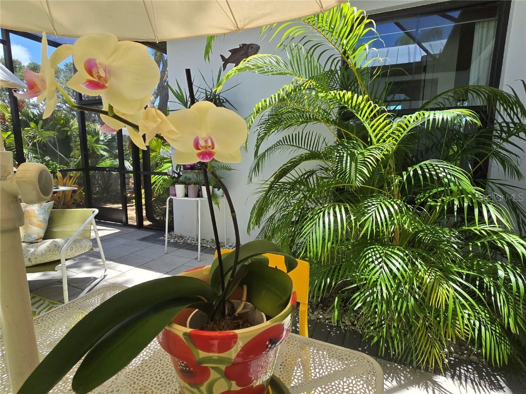 4425 Lords Drive Sarasota FL 34231 A4653524 image35