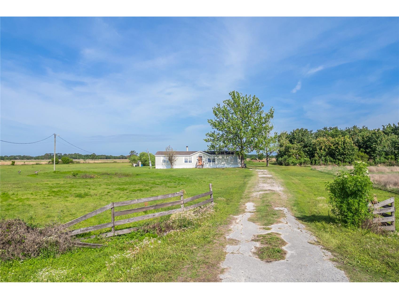 4425 Roundup Polk City FL 33868 S5147247 image28