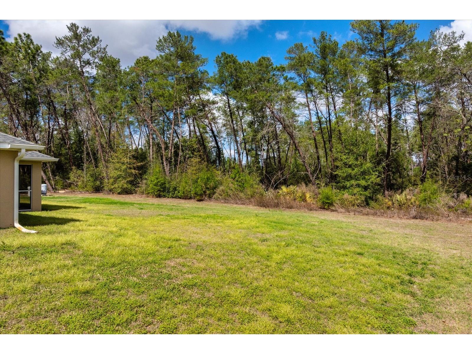 4425 SW 113th Place Ocala FL 34476 OM719933 image25