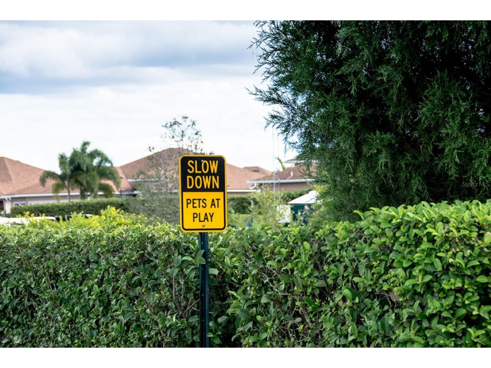 4425 Turnberry Lane Lake Wales FL 33859 - LAKE ASHTON P4937631 image98