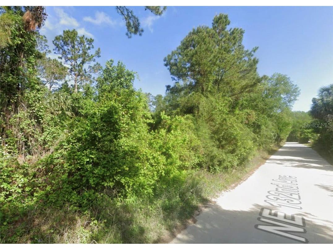 4426 NE 132nd Avenue Silver Springs FL 34488 OM710824 image3