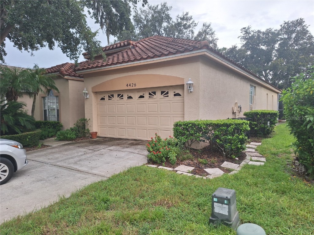 4426 Sawgrass Drive Palm Harbor FL 34685 W7866884 image1