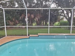 4426 Sawgrass Drive Palm Harbor FL 34685 W7880607 image18