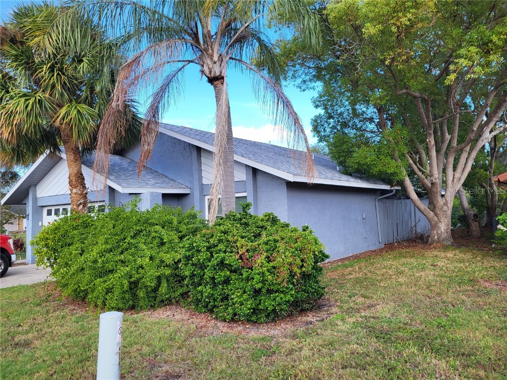 4427 Dewey Drive New Port Richey FL 34652 W7880615 image3