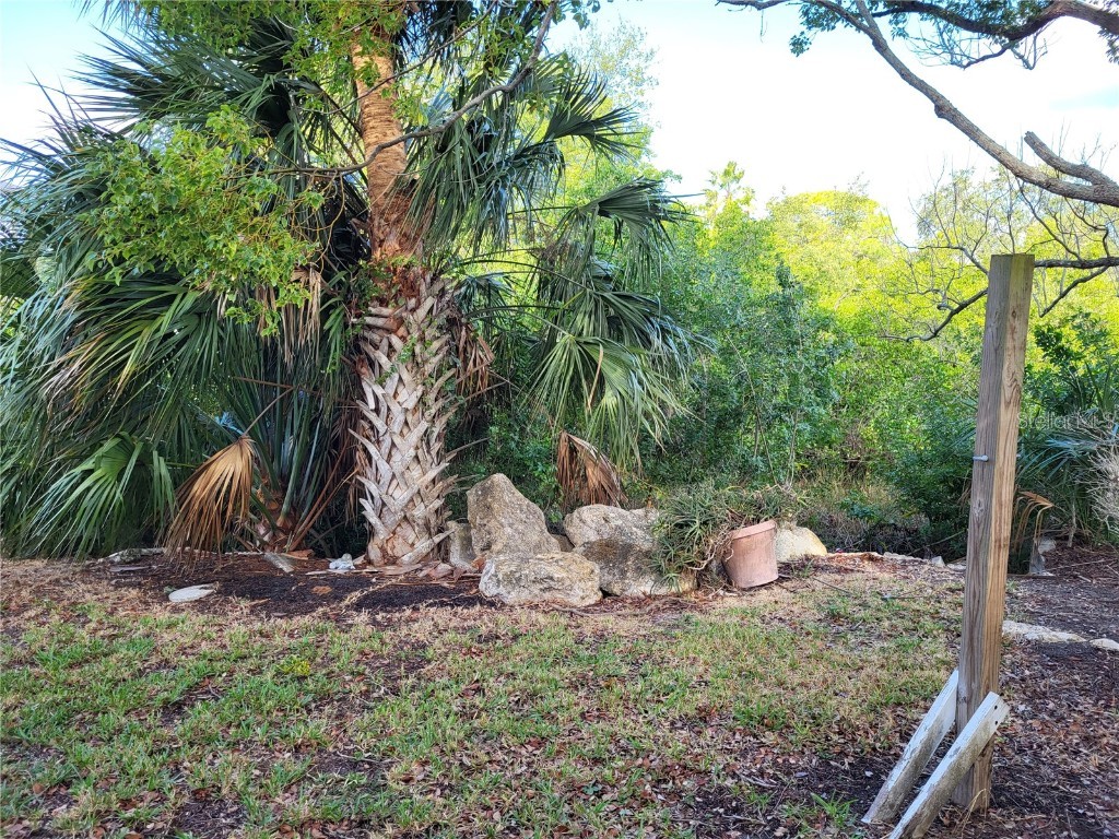 4427 Dewey Drive New Port Richey FL 34652 W7880615 image6