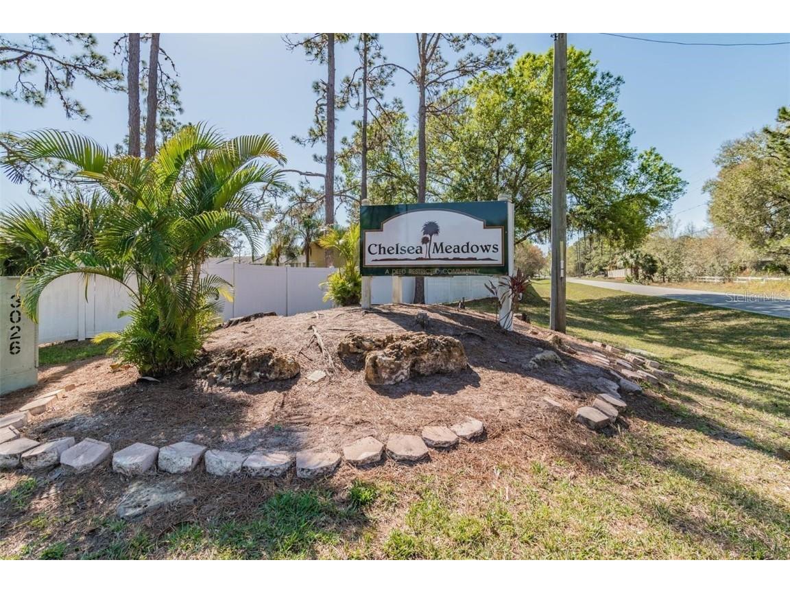4427 Dylan Loop #190 Land O Lakes FL 34639 TB8421314 image26