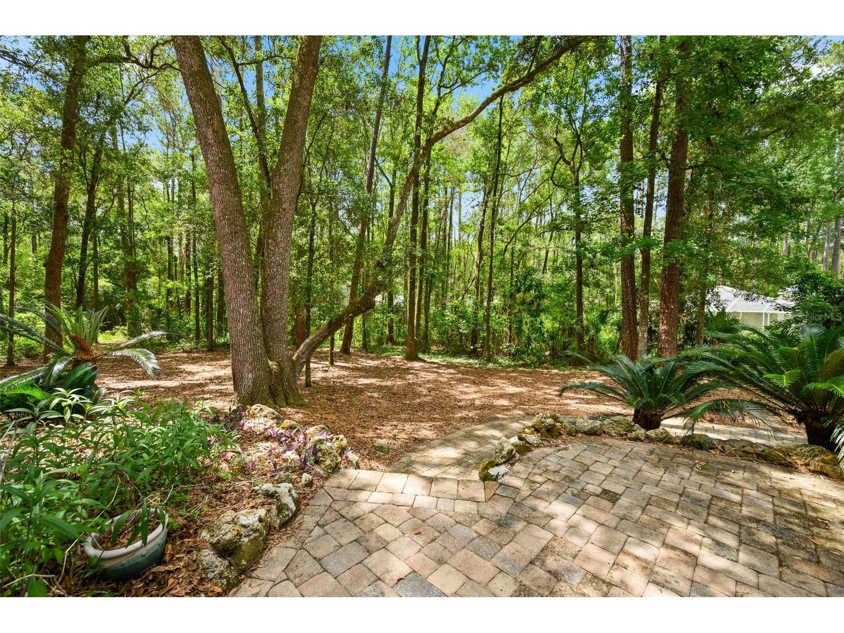 4427 SW 84th Way Gainesville FL 32608 GC541701 image59