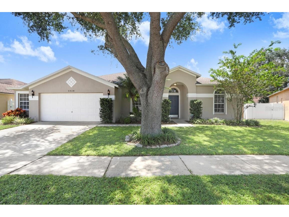 4428 Brandon Ridge Drive Valrico FL 33594 T3466745 image1