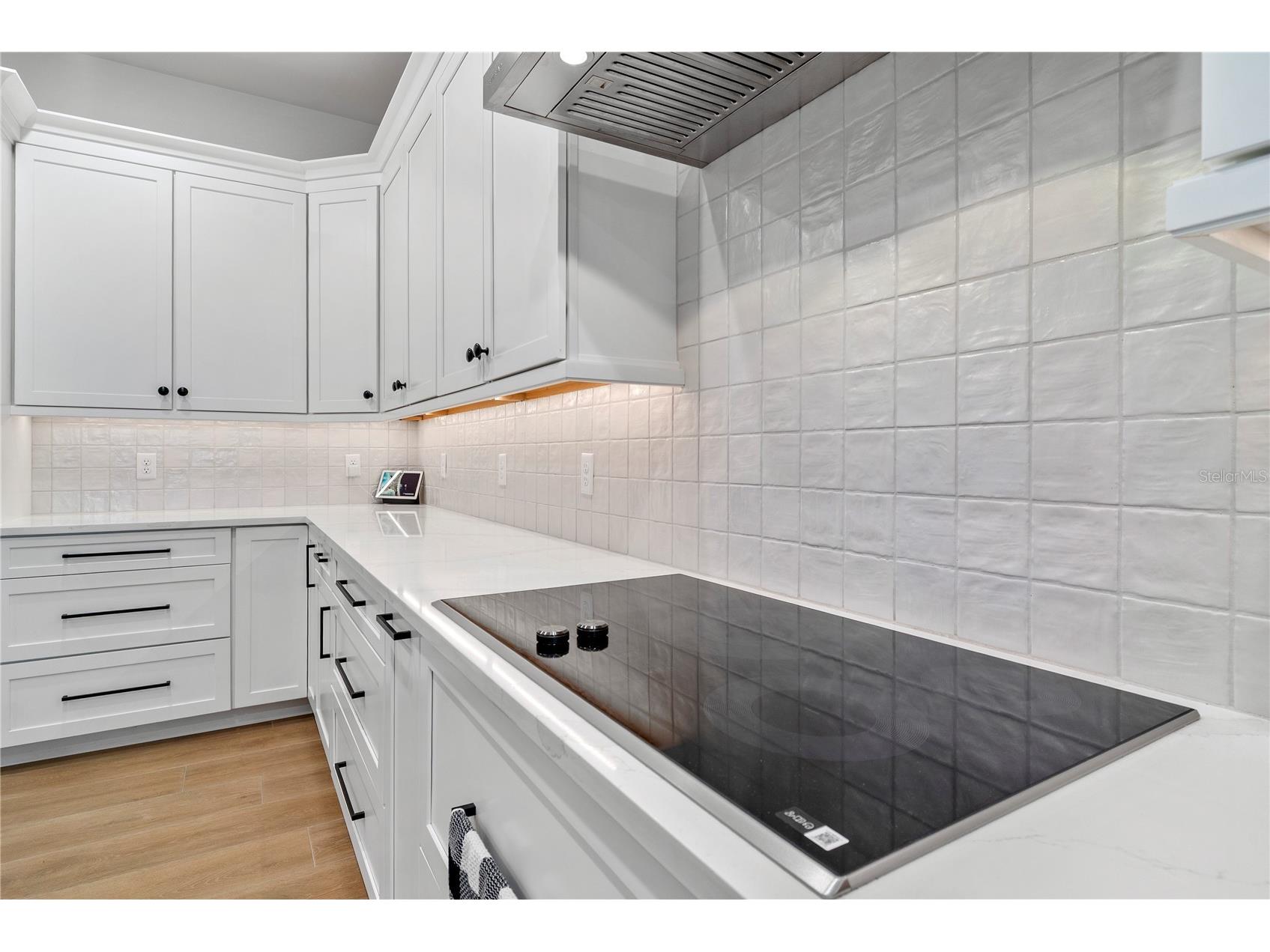 4428 E Shirley Shores Road Tavares FL 32778 - LAKE DORA O6372291 image14