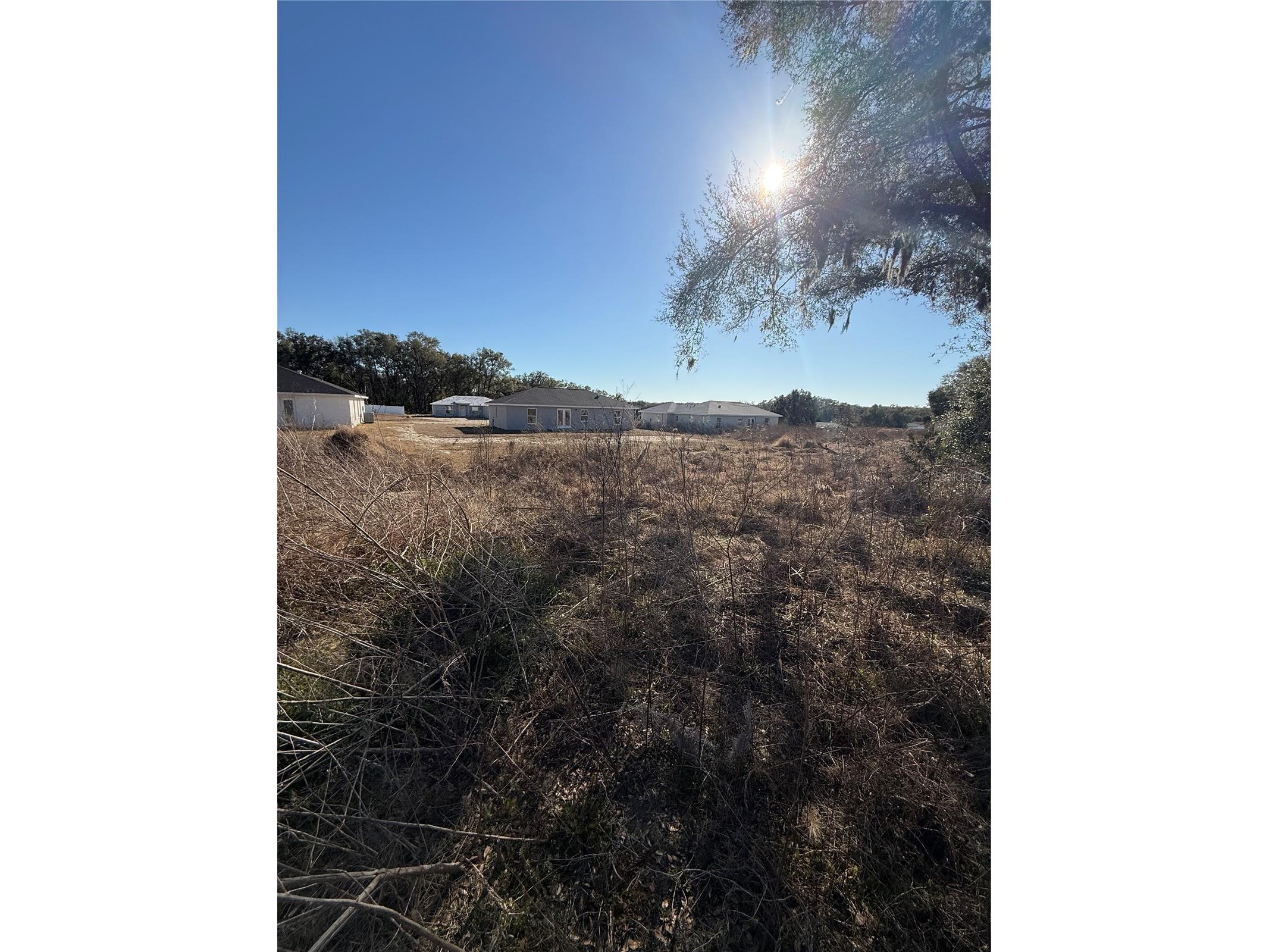 4428 E Walker Street Inverness FL 34453 TB8492532 image2