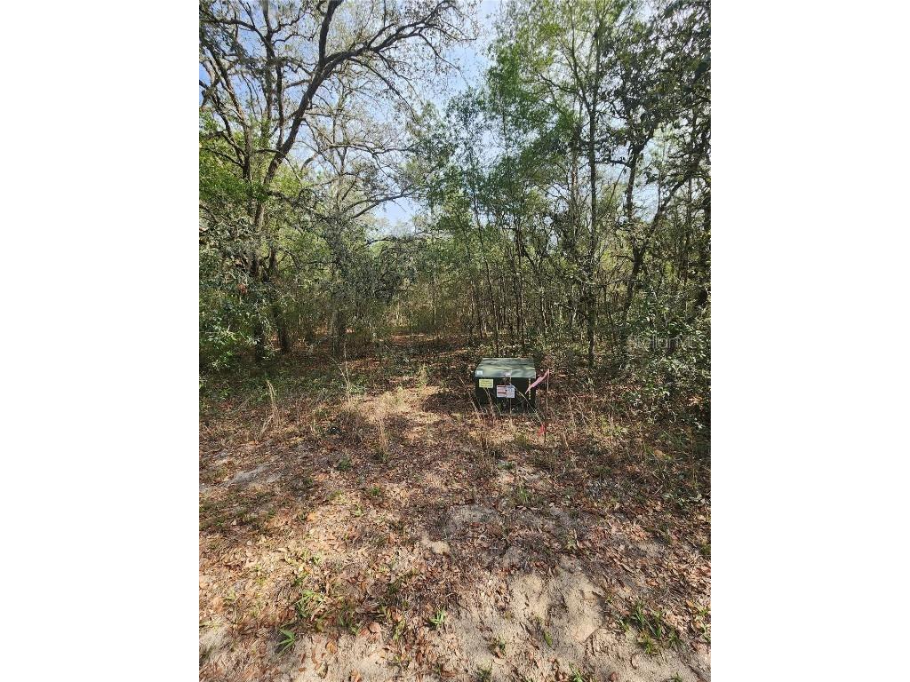 4428 N Forest Lake Drive Hernando FL 34442 OM657278 image1