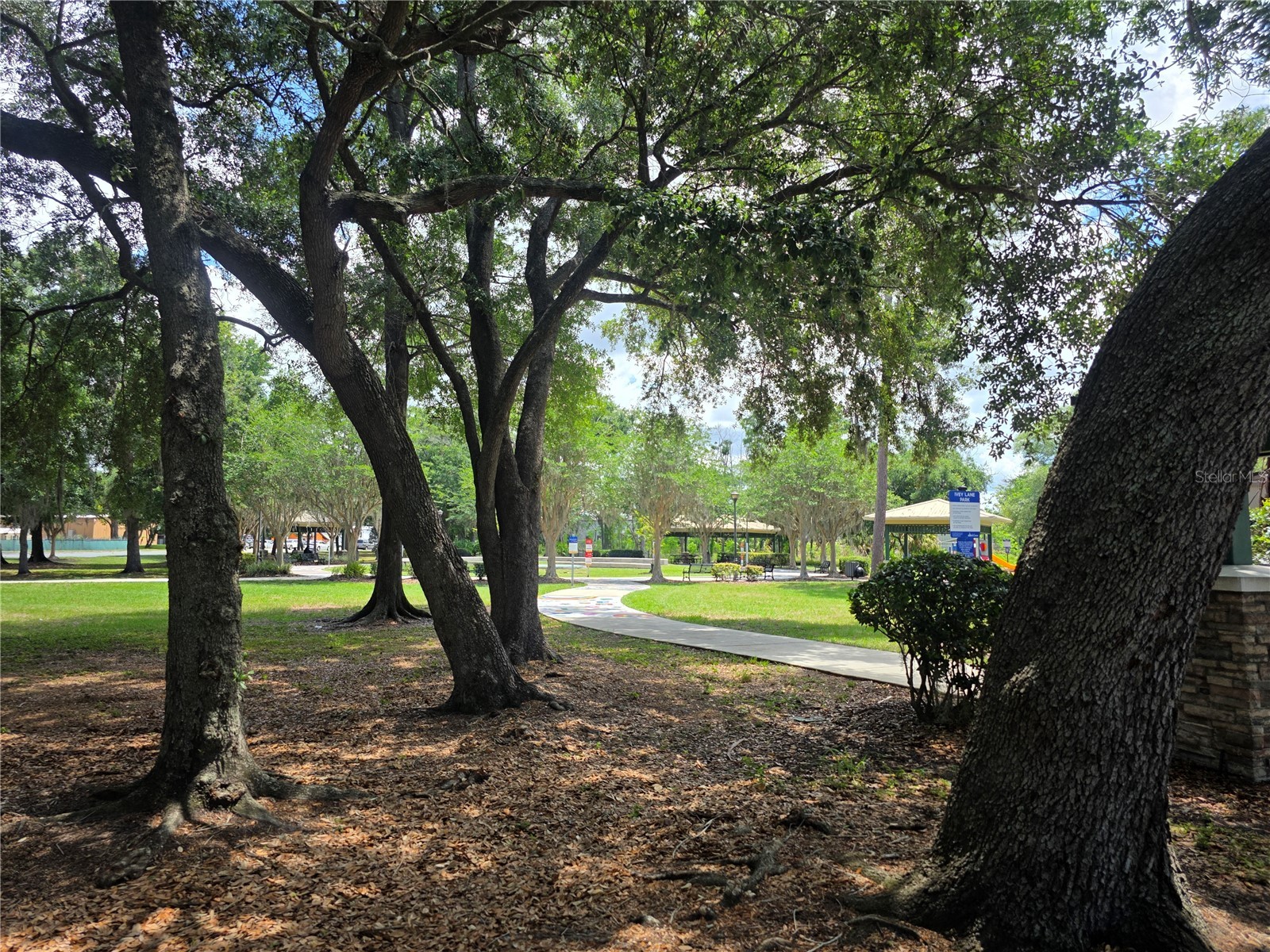 4429 Cypress Street Orlando FL 32811 O6411781 image14