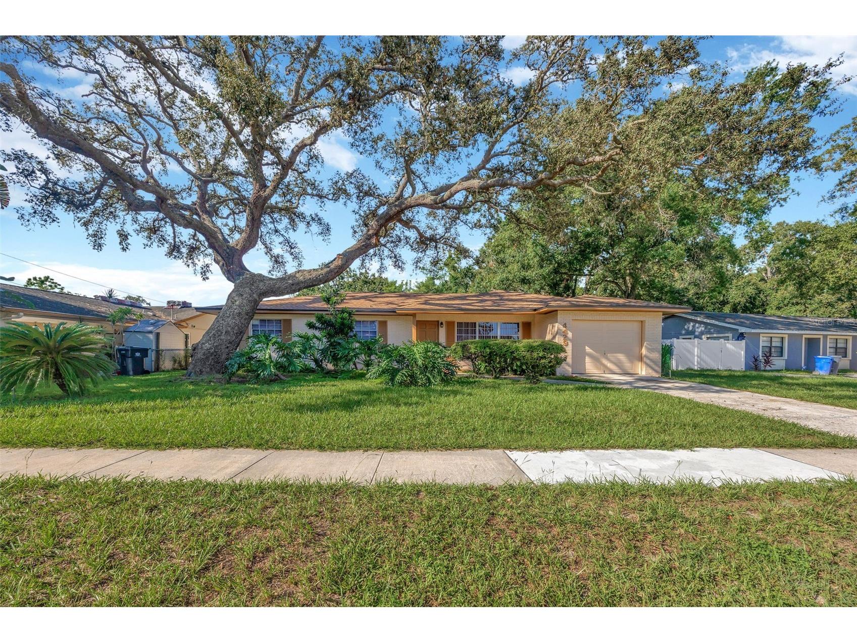 4429 Dolphin Drive Tampa FL 33617 TB8427212 image1