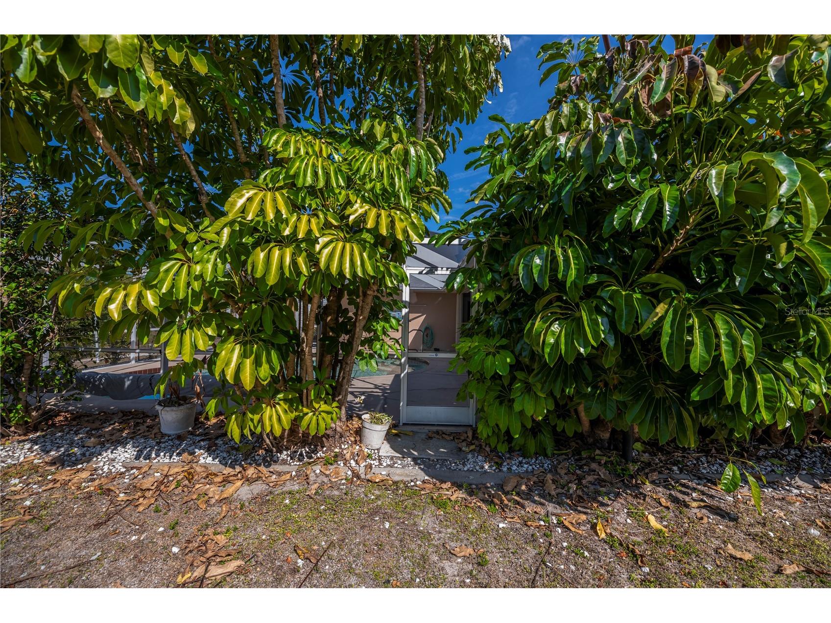 443 Fairmont Terrace Port Charlotte FL 33954 - ELKHAM WATERWAY C7520862 image65