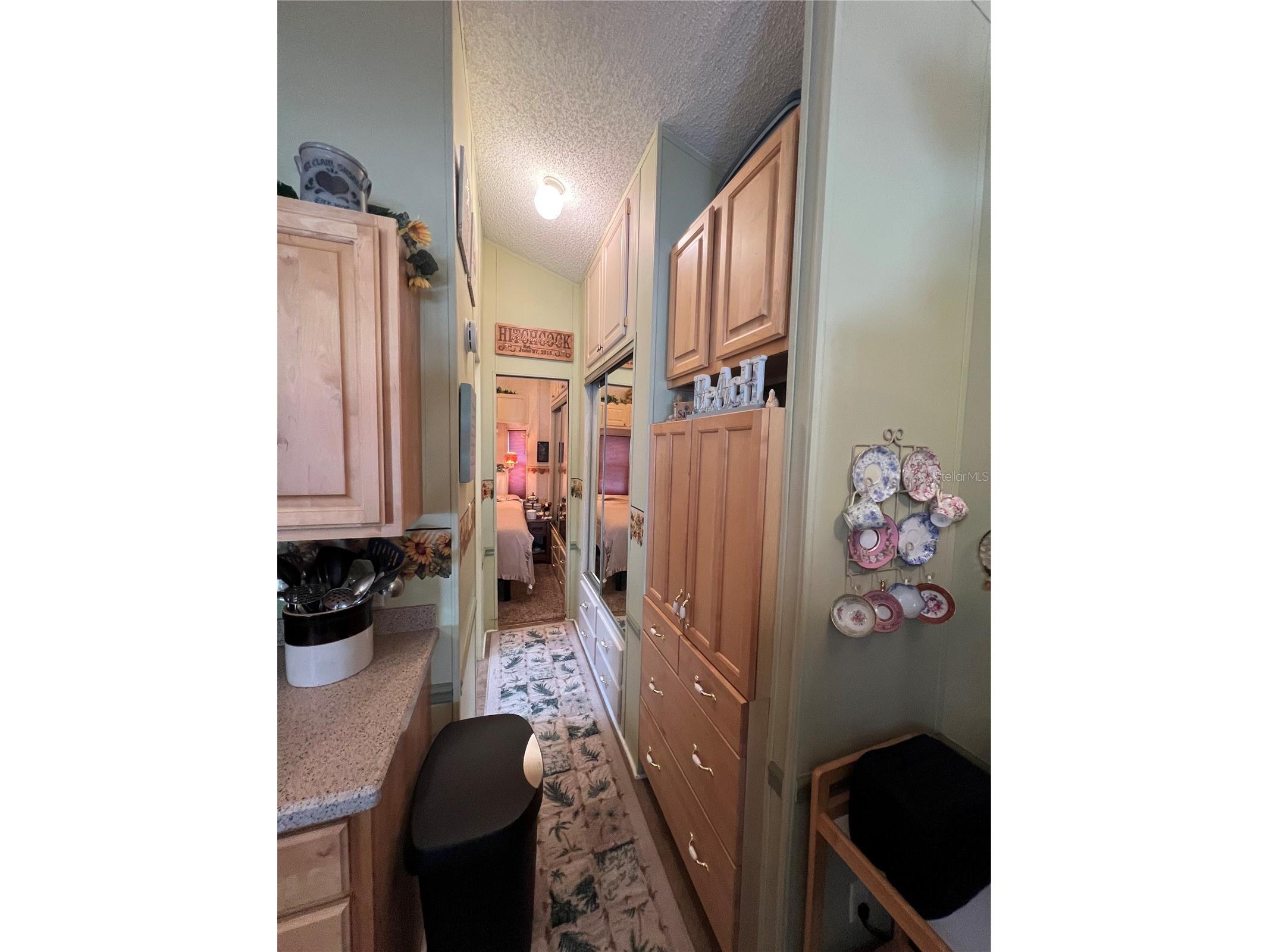 443 Pansy Street Davenport FL 33837 S5140781 image25