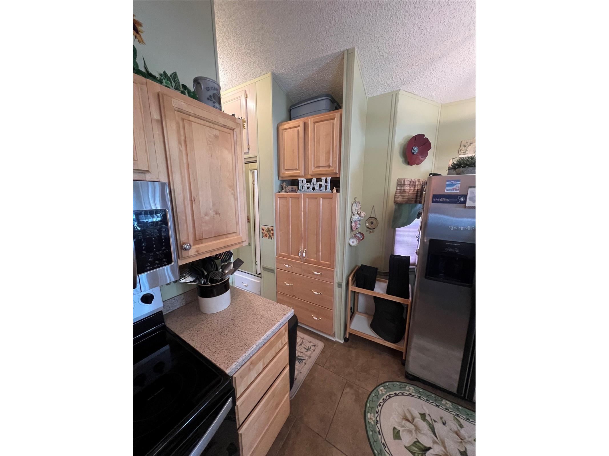443 Pansy Street Davenport FL 33837 S5140781 image31