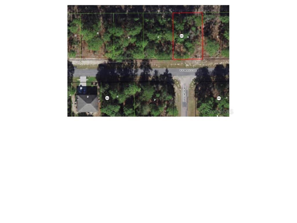 443 W Homeway Loop Citrus Springs FL 34434 OM632948 image1