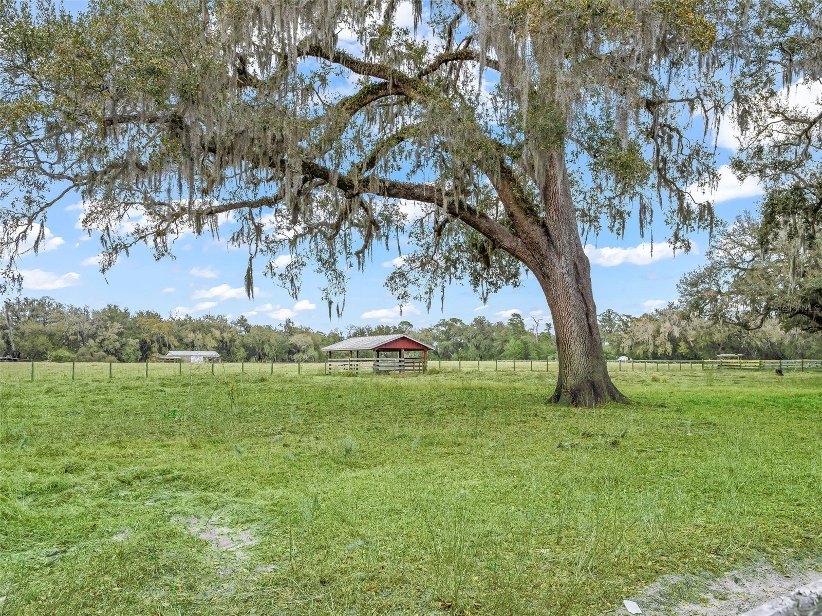 4430 Cr 542h Bushnell FL 33513 OM718968 image35
