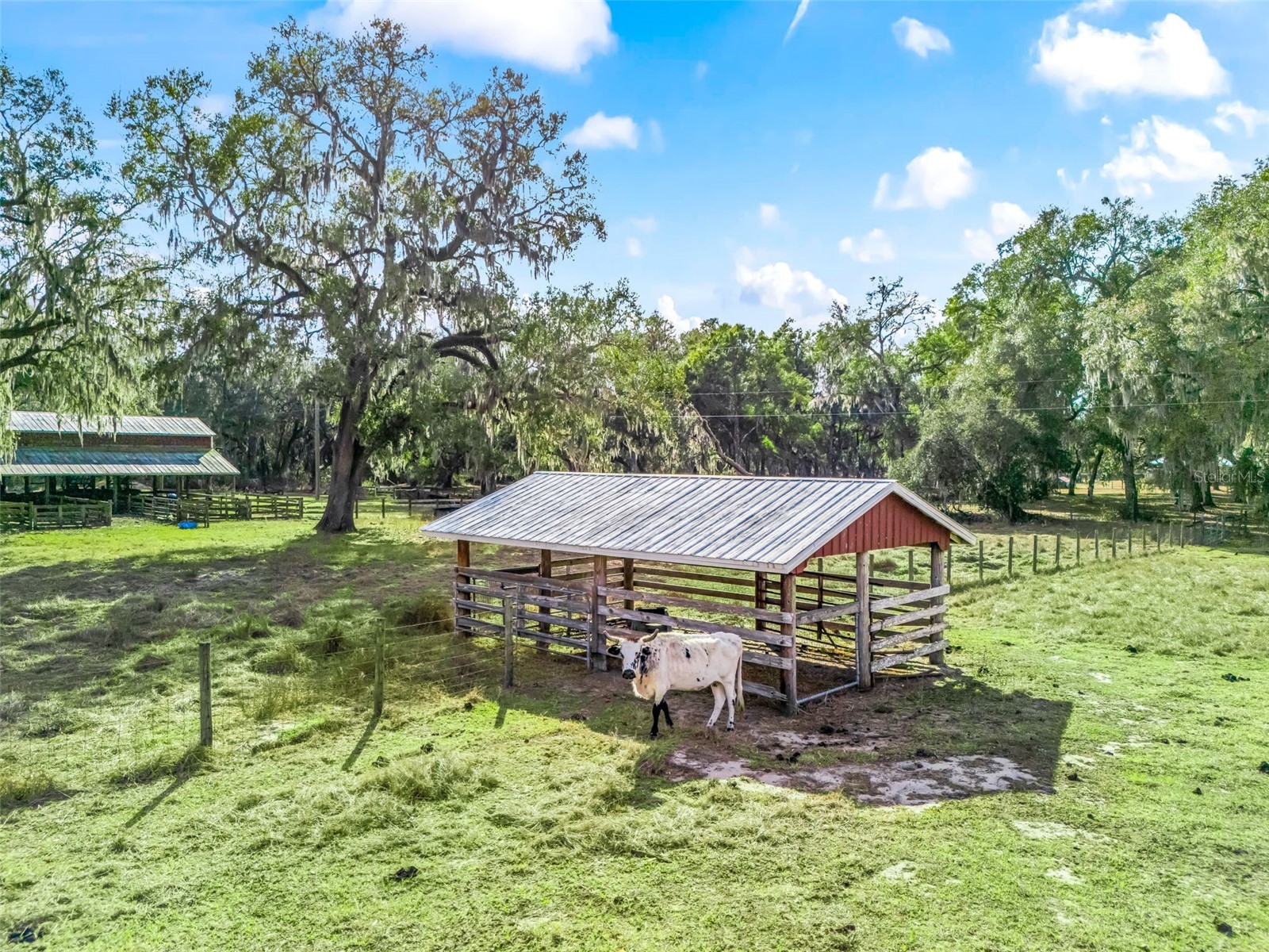 4430 Cr 542h Bushnell FL 33513 OM718968 image36