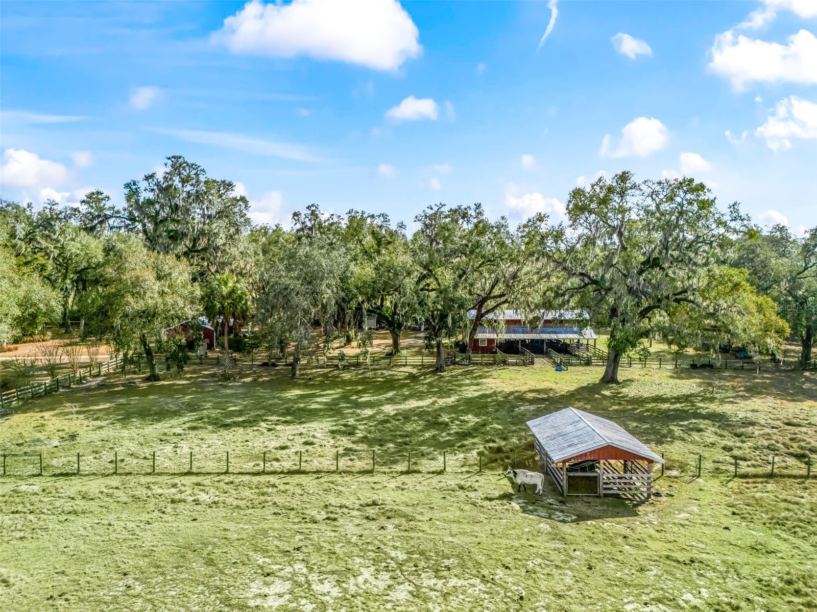 4430 Cr 542h Bushnell FL 33513 OM718968 image37
