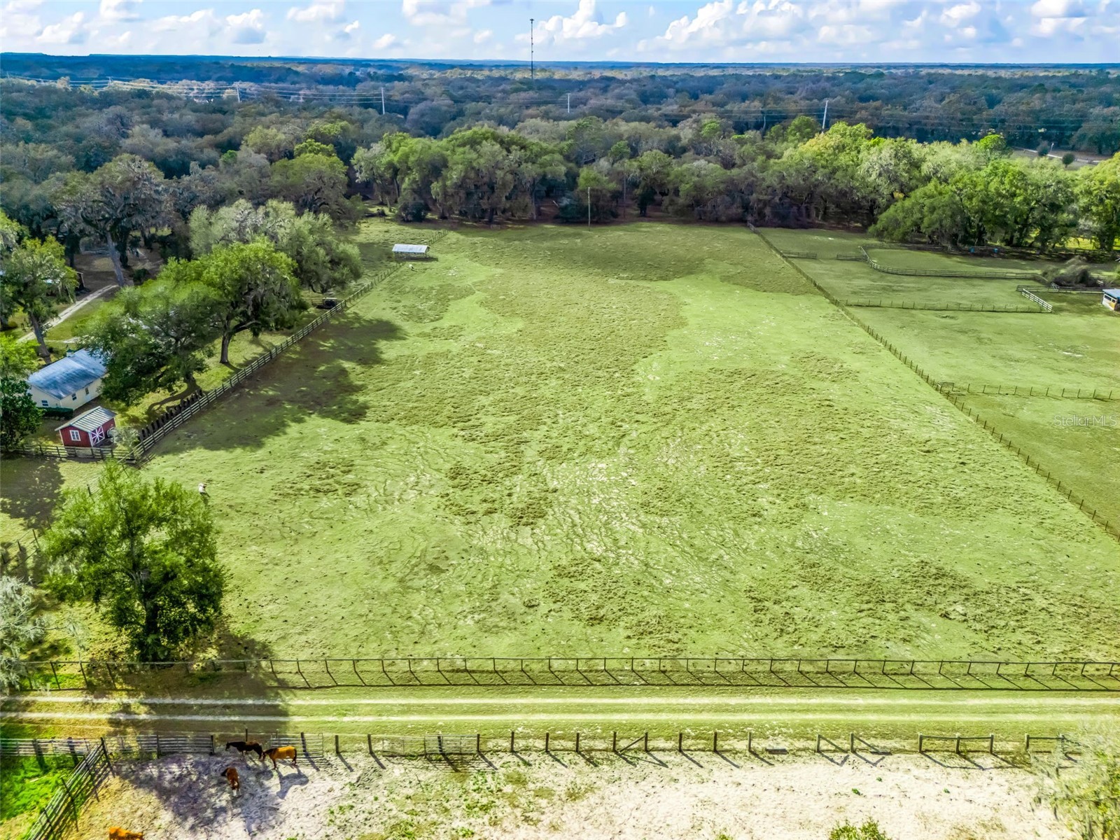 4430 Cr 542h Bushnell FL 33513 OM718968 image39