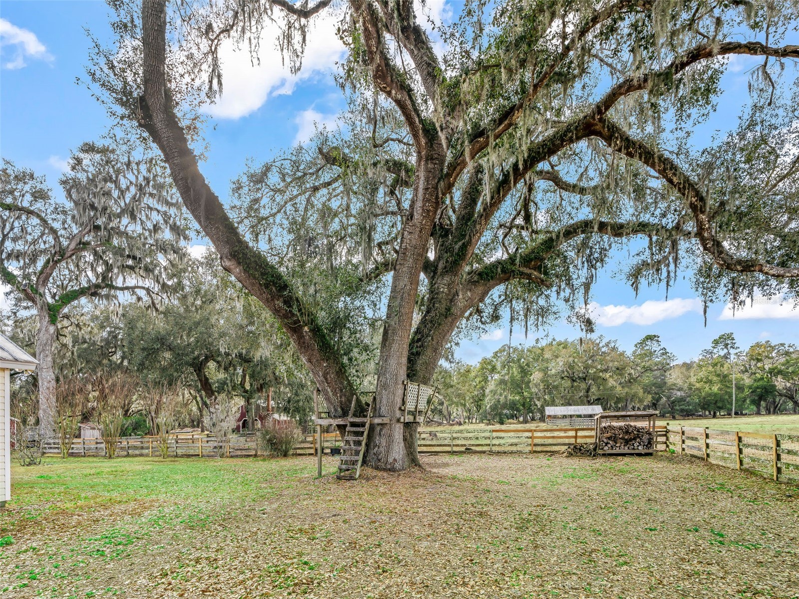4430 Cr 542h Bushnell FL 33513 OM718968 image43