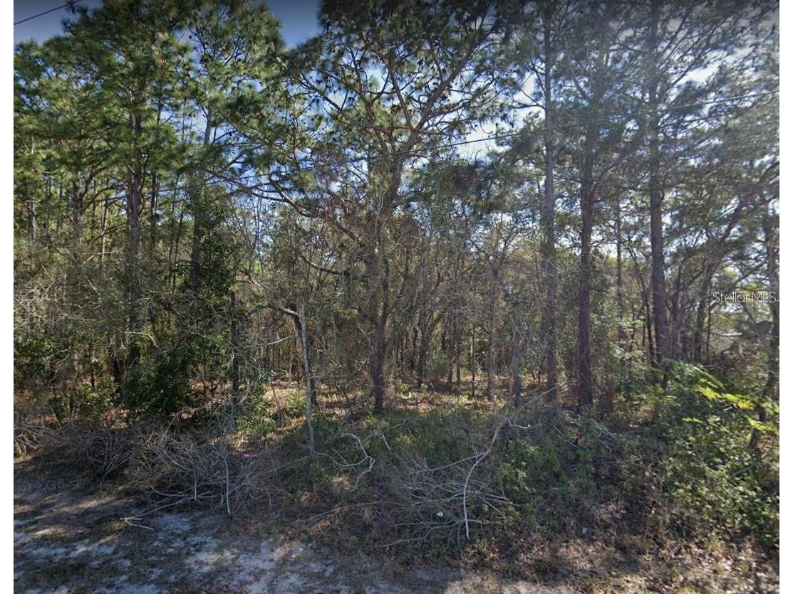 4430 Landover Boulevard Spring Hill FL 34609 O6374081 image1