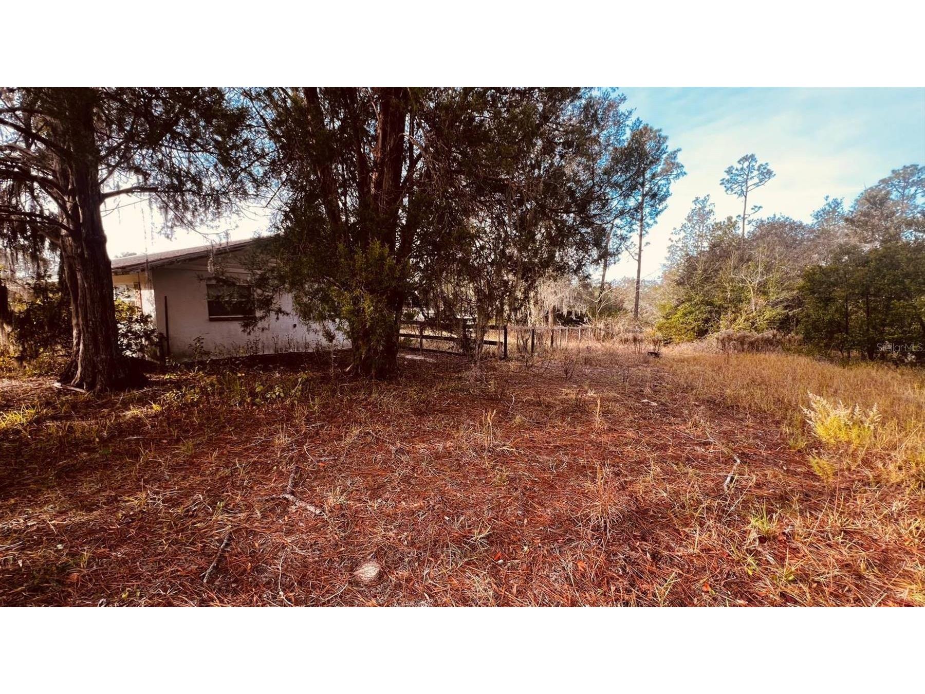 4430 SW Zinnia Court Dunnellon FL 34431 TB8490490 image2
