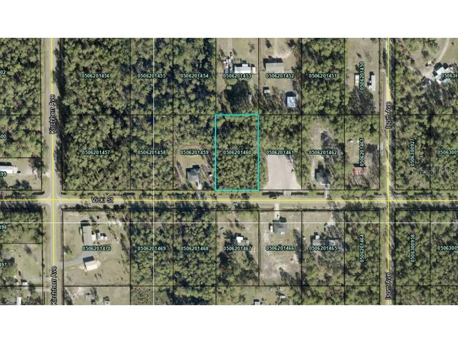 4430 Vicki Street Hastings FL 32145 OM725850 image2