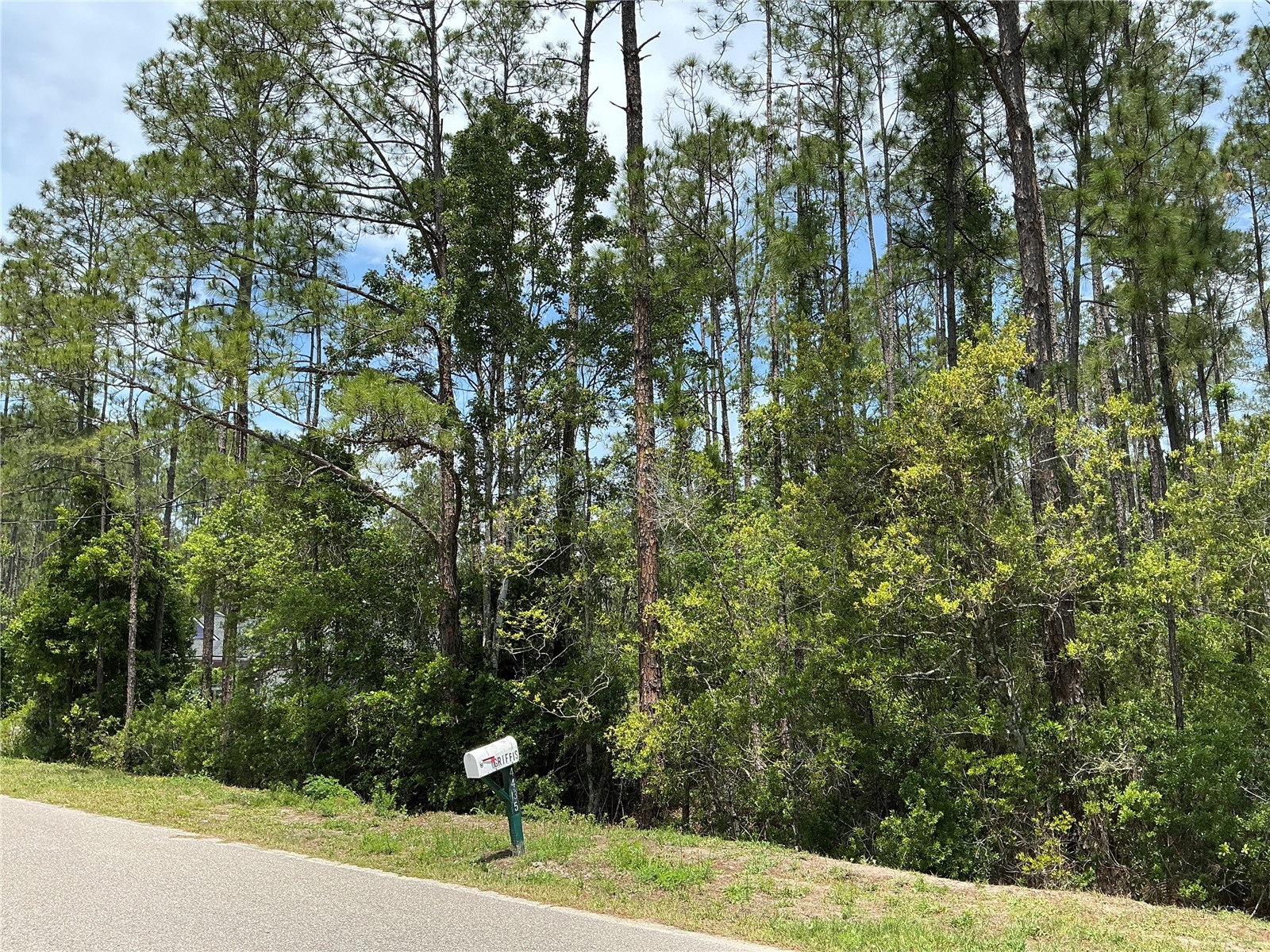 4430 Vicki Street Hastings FL 32145 OM725850 image3