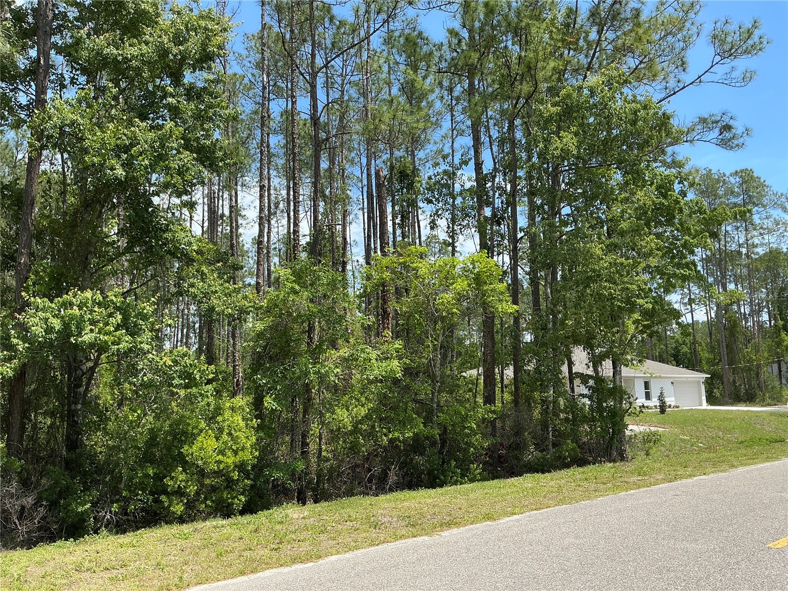4430 Vicki Street Hastings FL 32145 OM725850 image4