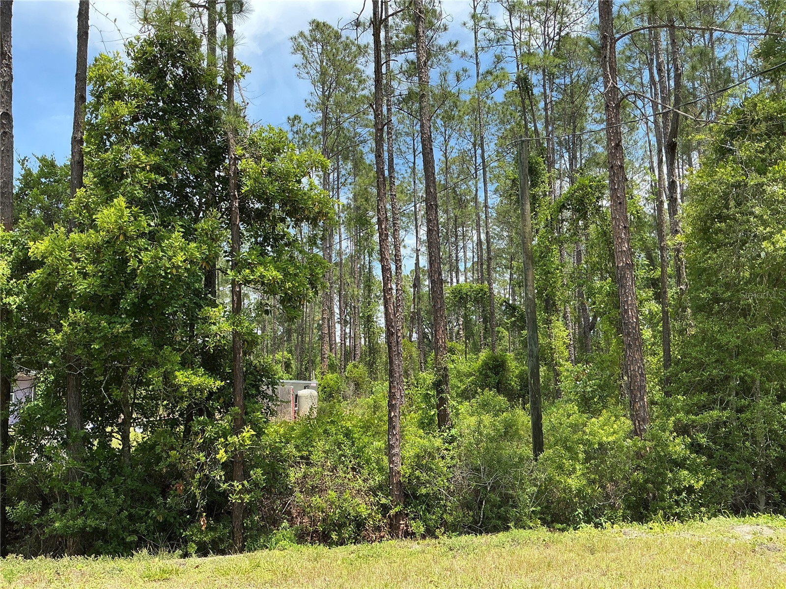 4430 Vicki Street Hastings FL 32145 OM725850 image5