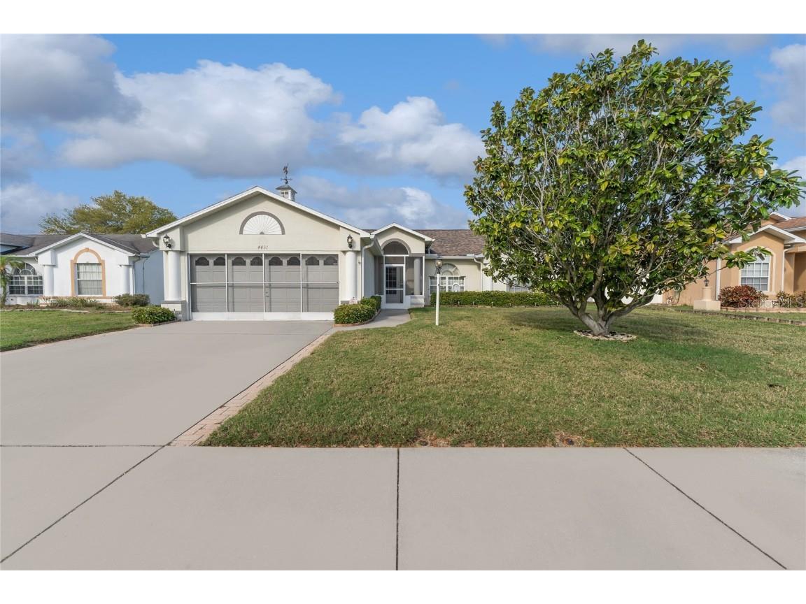 4431 Onorio Street New Port Richey FL 34653 T3510262 image1