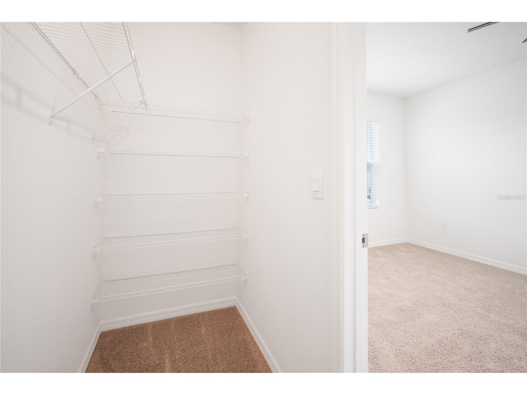 4431 Rachel Falls Drive Tampa FL 33610 TB8467843 image13