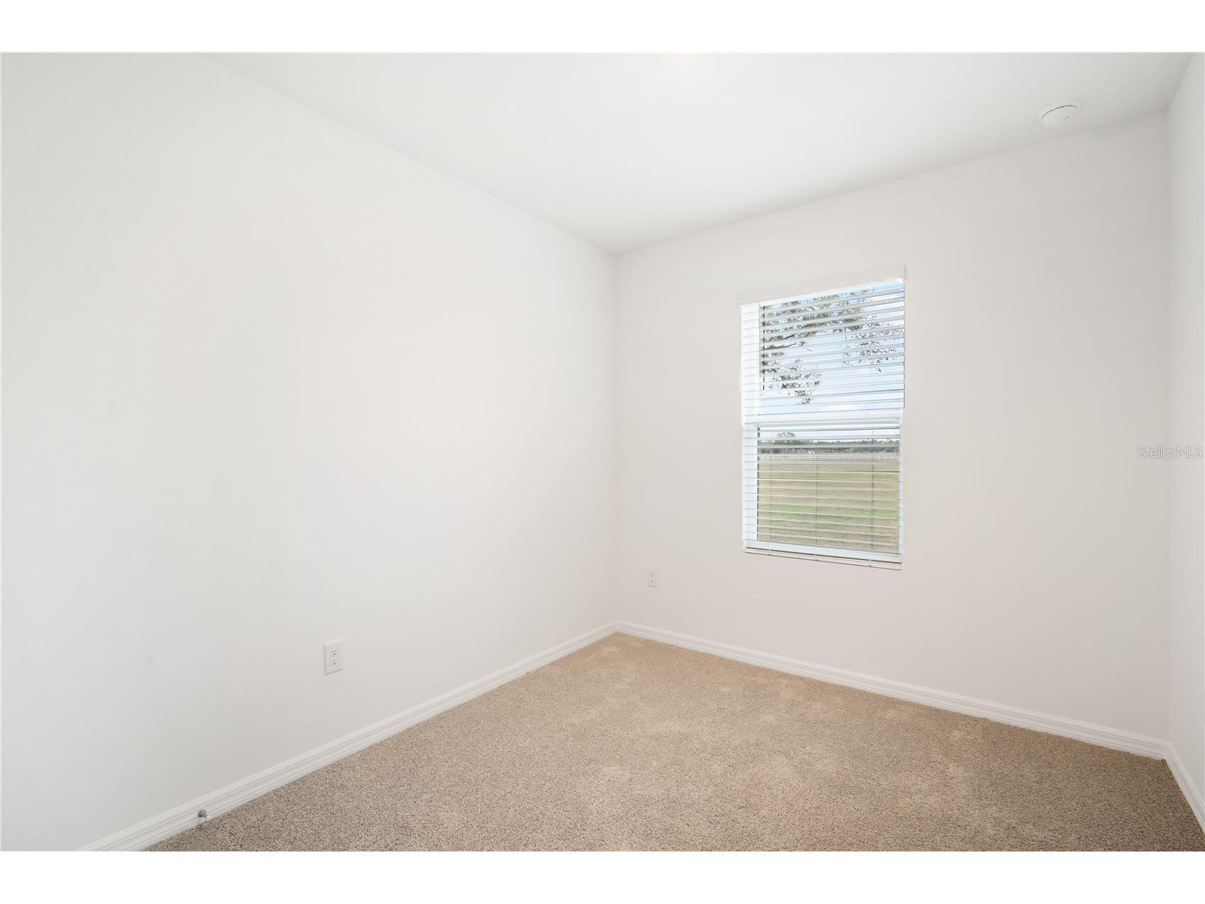 4431 Rachel Falls Drive Tampa FL 33610 TB8467843 image17