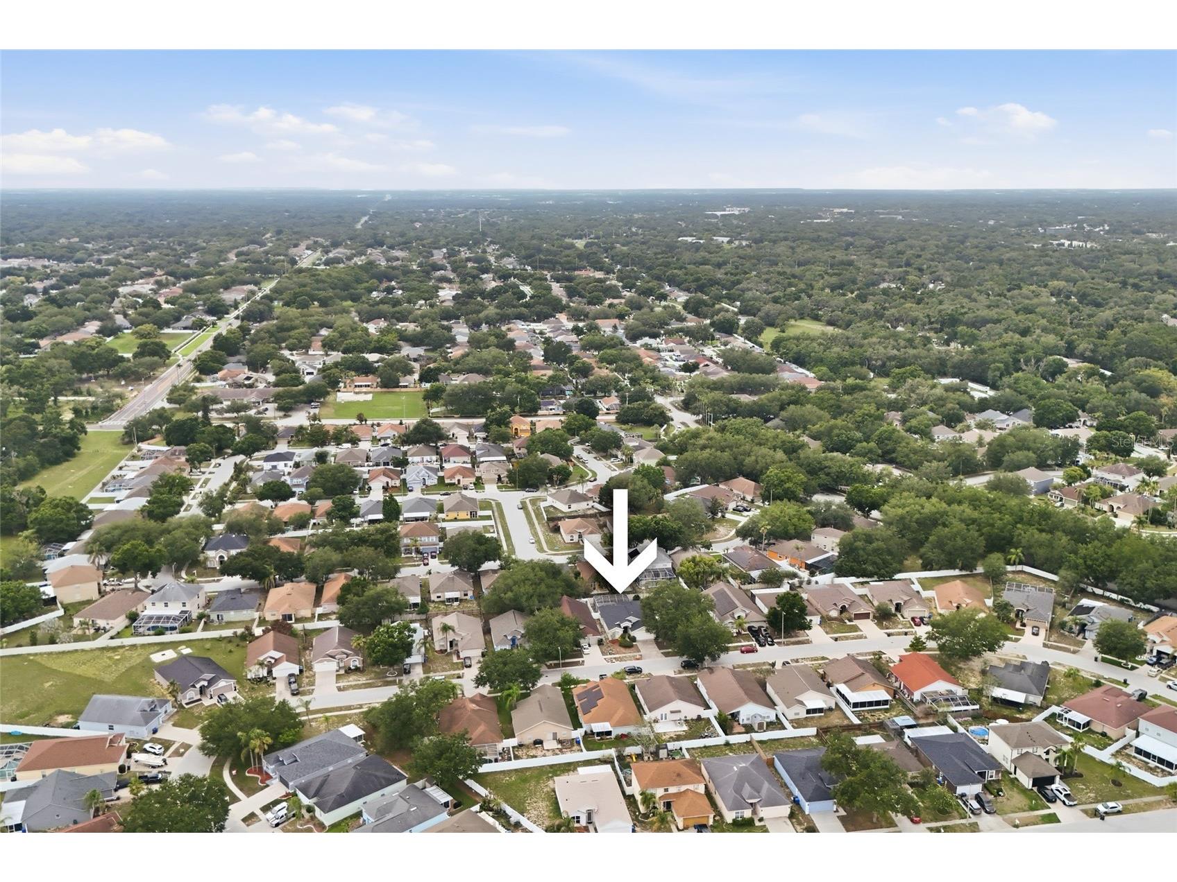 4432 Horseshoe Pick Lane Valrico FL 33594 TB8512247 image39