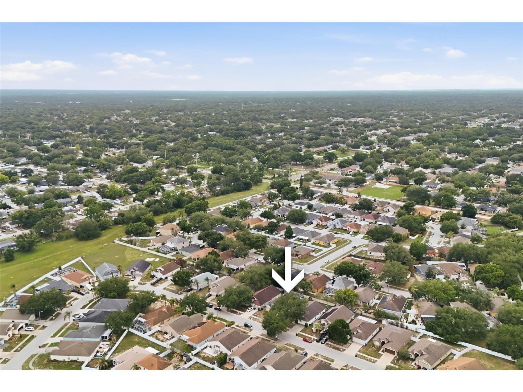 4432 Horseshoe Pick Lane Valrico FL 33594 TB8512247 image40