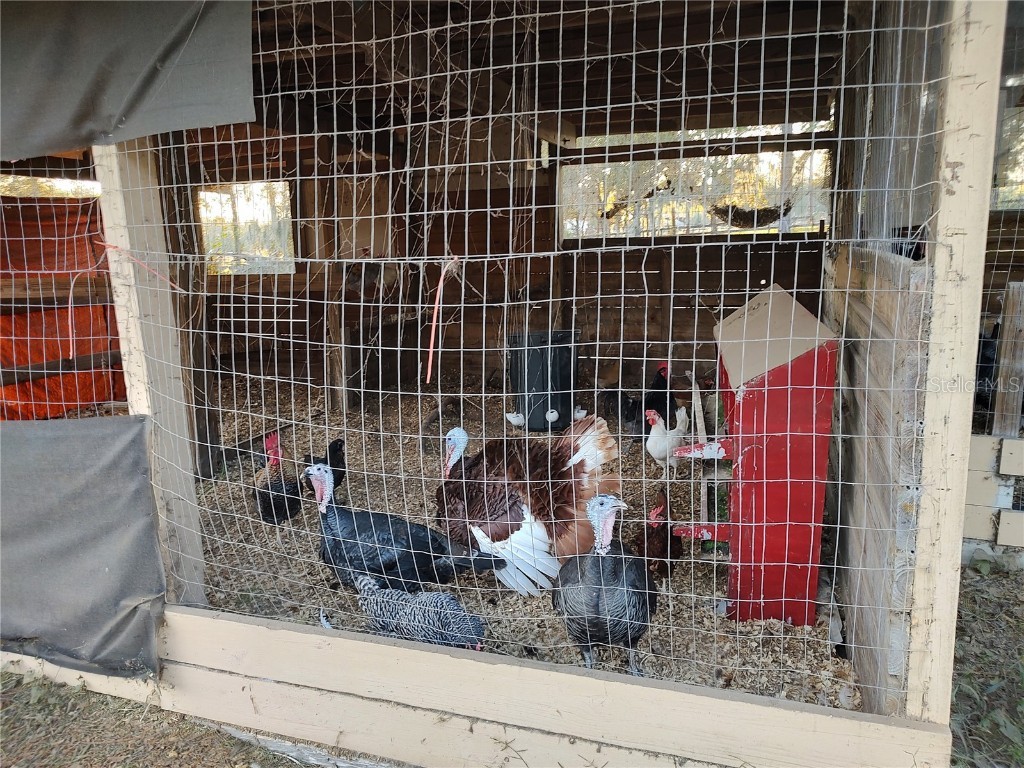 4432 Marion County Road Weirsdale FL 32195 G5103072 image53