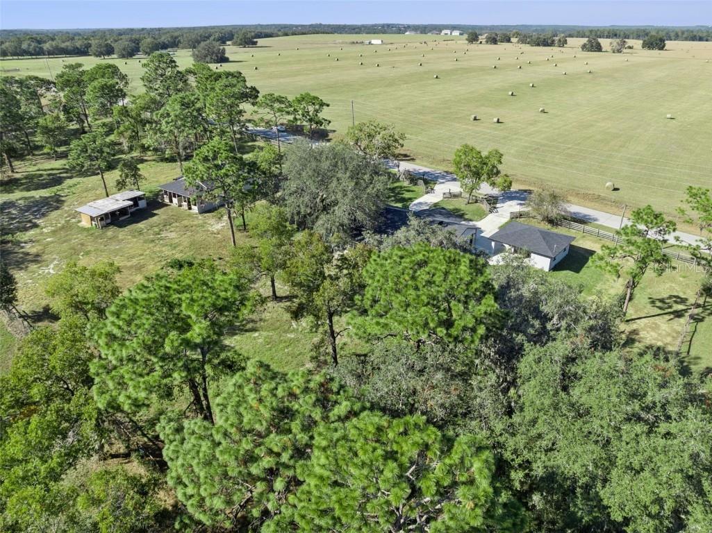 4432 Marion County Road Weirsdale FL 32195 G5103072 image72