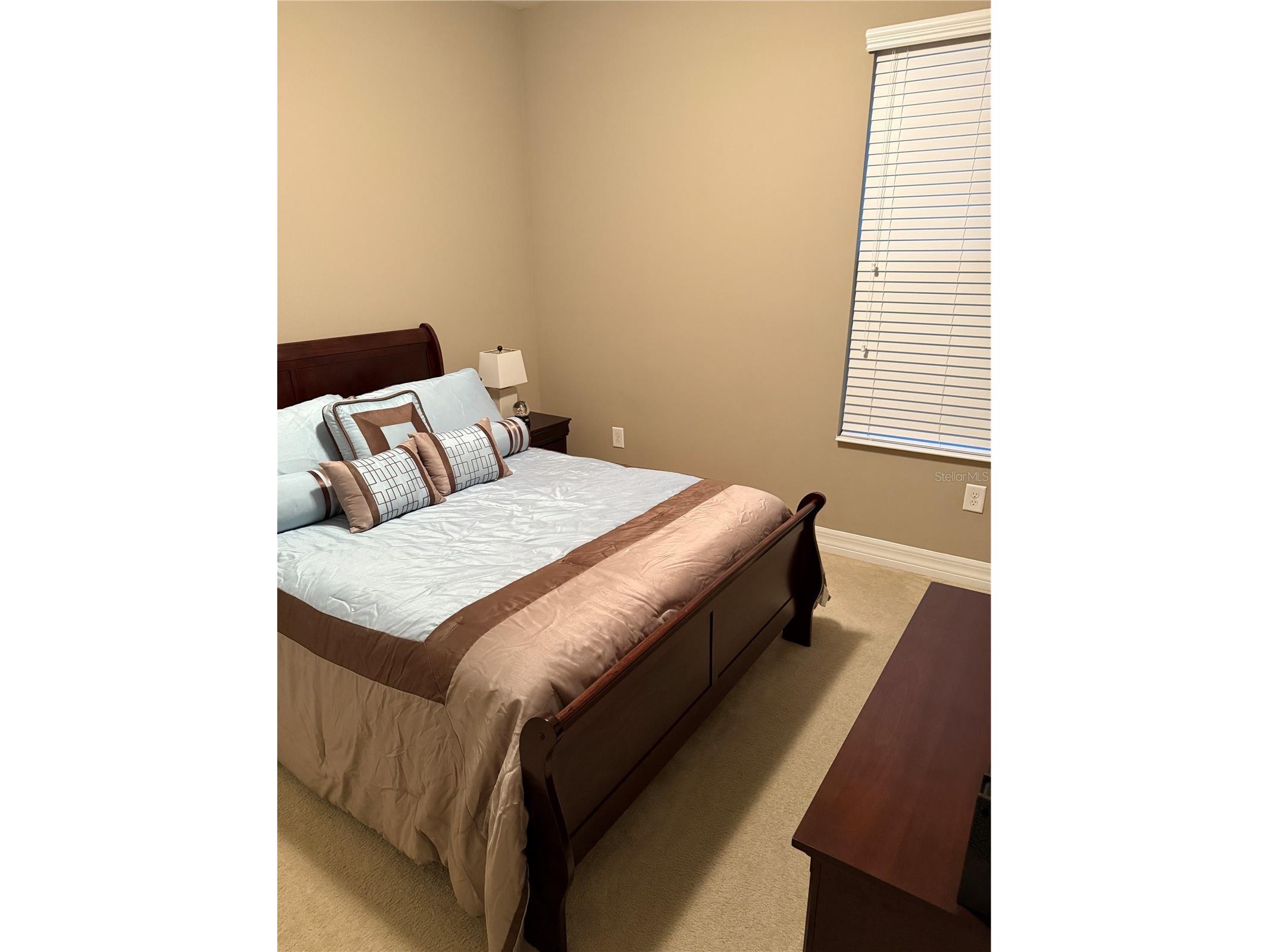 4432 Vermillion Sky Drive Wesley Chapel FL 33544 TB8493301 image10