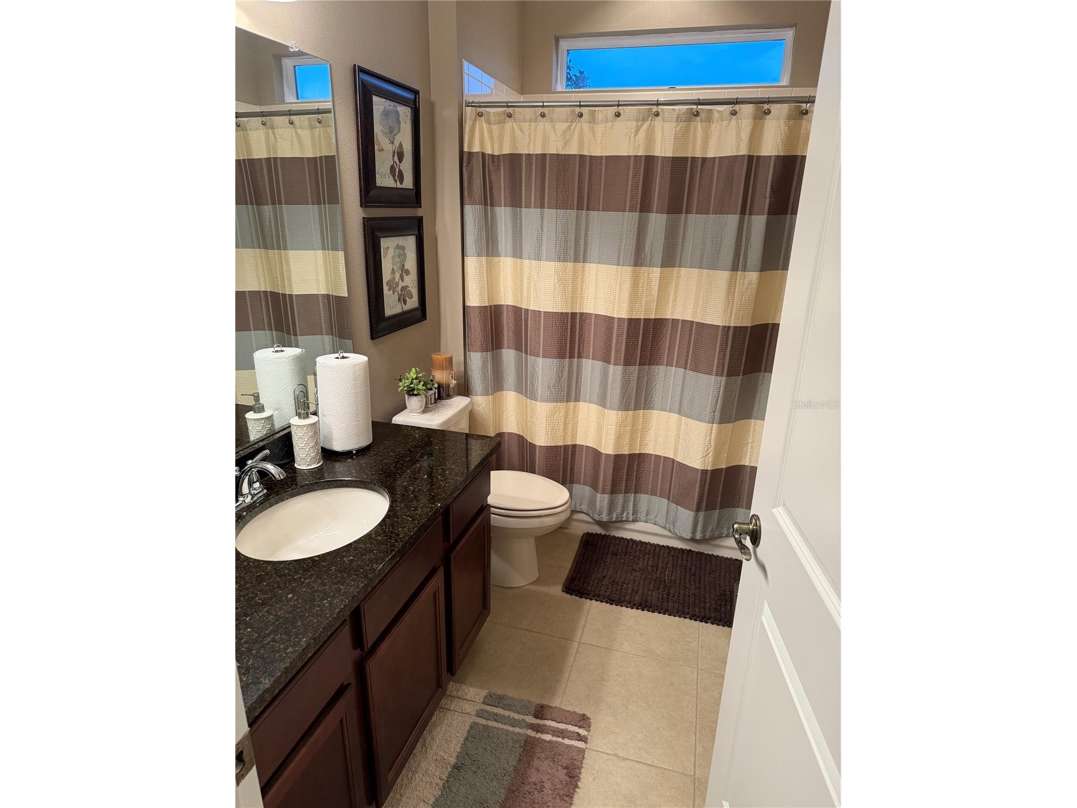 4432 Vermillion Sky Drive Wesley Chapel FL 33544 TB8493301 image11