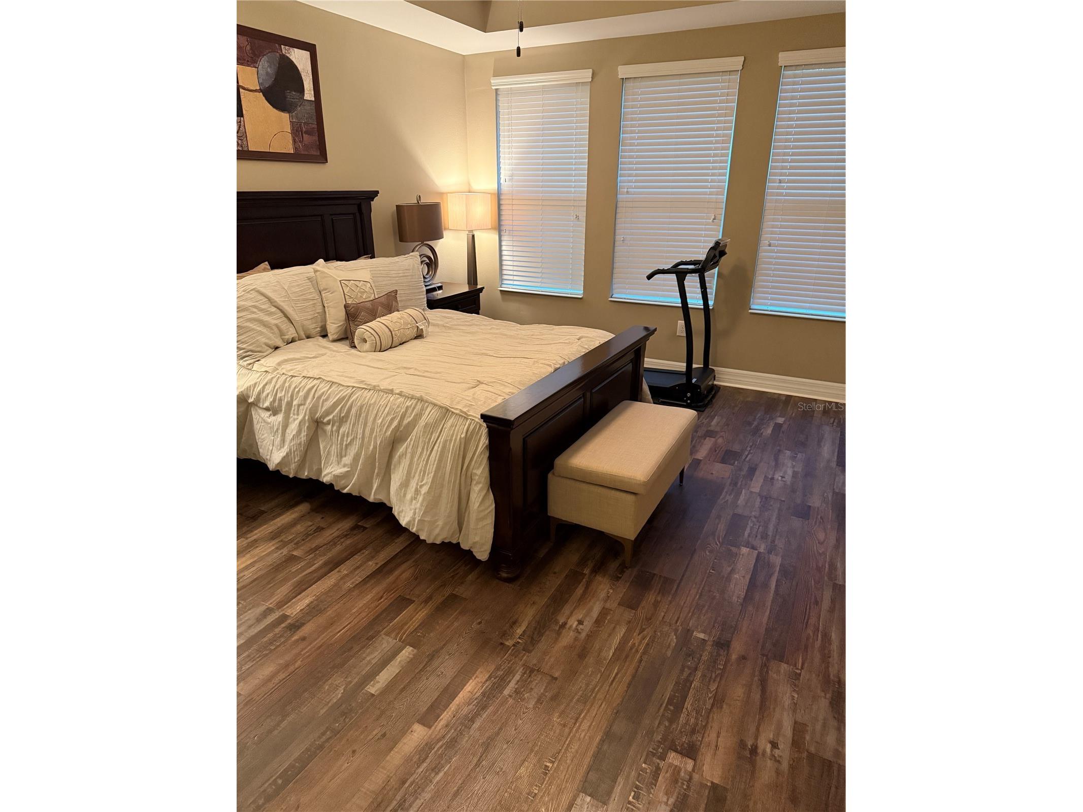 4432 Vermillion Sky Drive Wesley Chapel FL 33544 TB8493301 image23