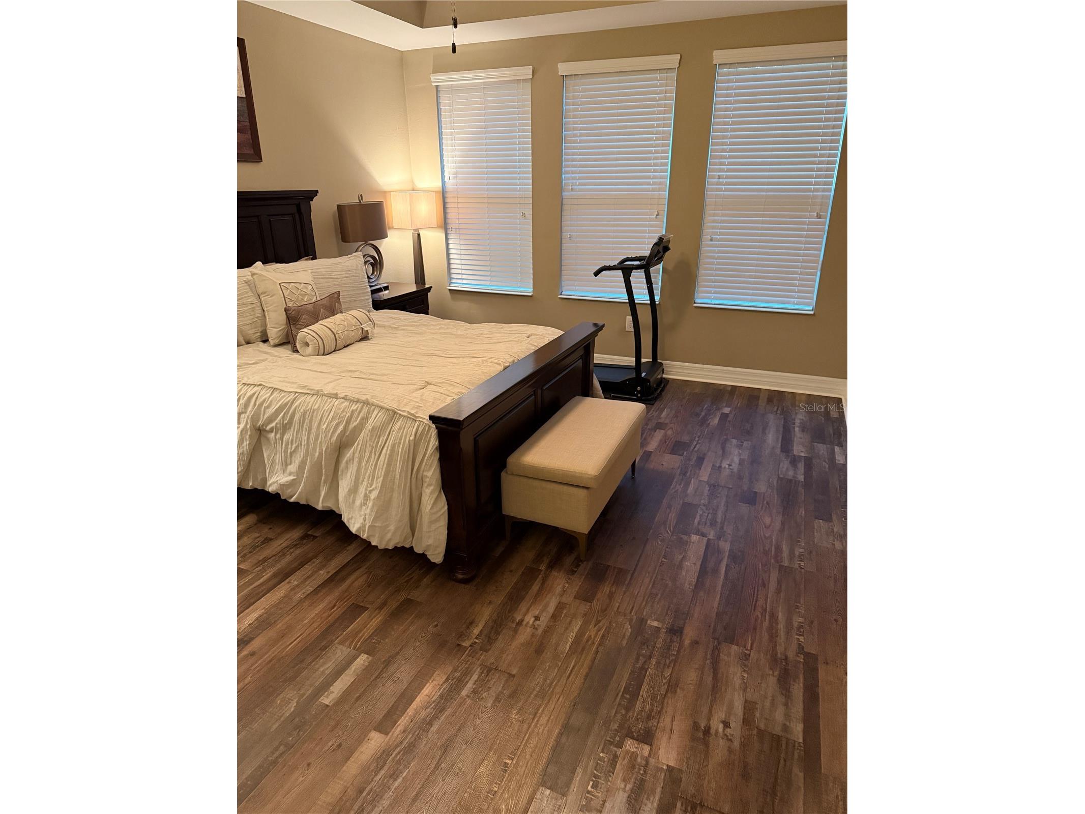 4432 Vermillion Sky Drive Wesley Chapel FL 33544 TB8493301 image24