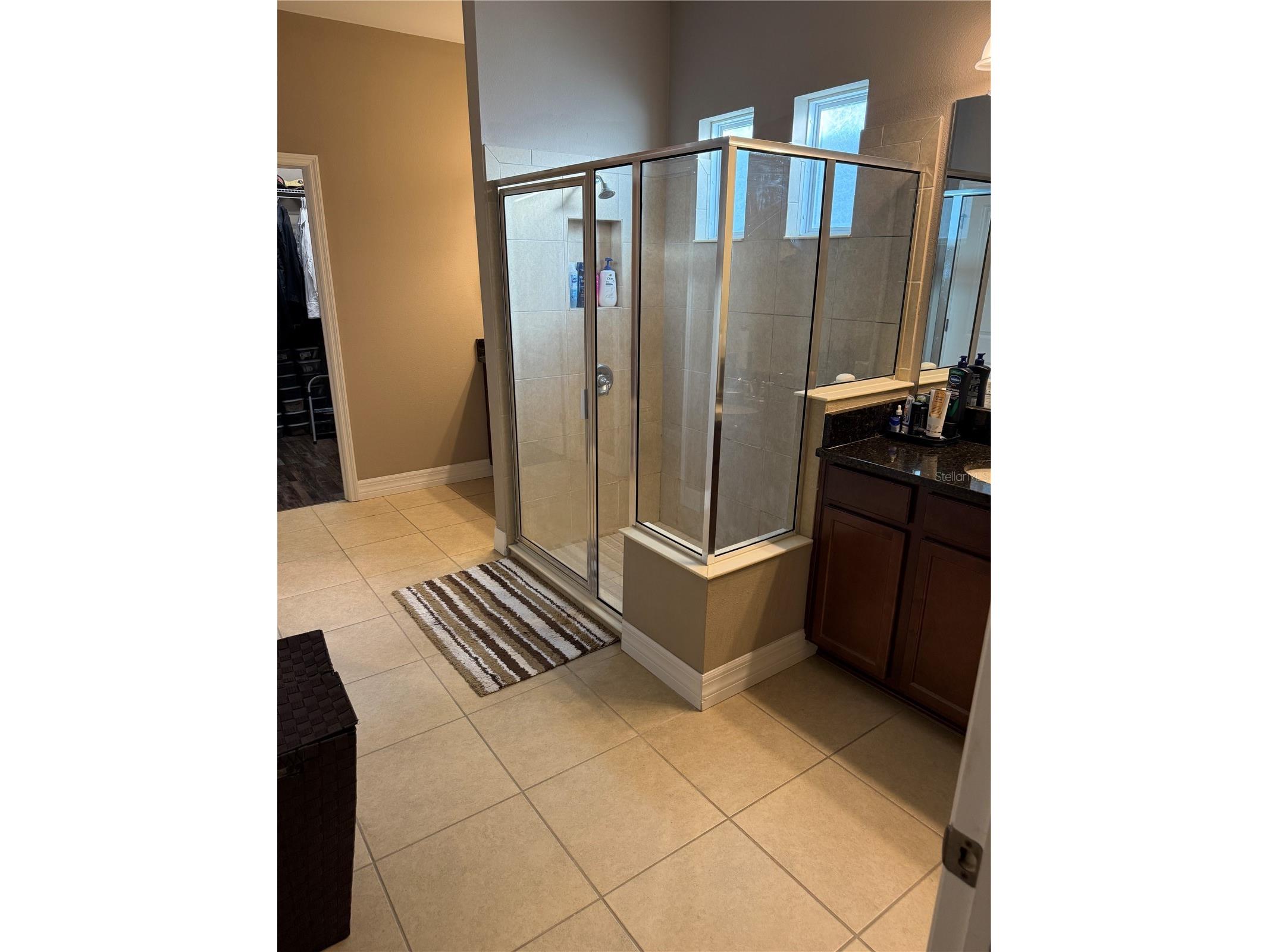 4432 Vermillion Sky Drive Wesley Chapel FL 33544 TB8493301 image28