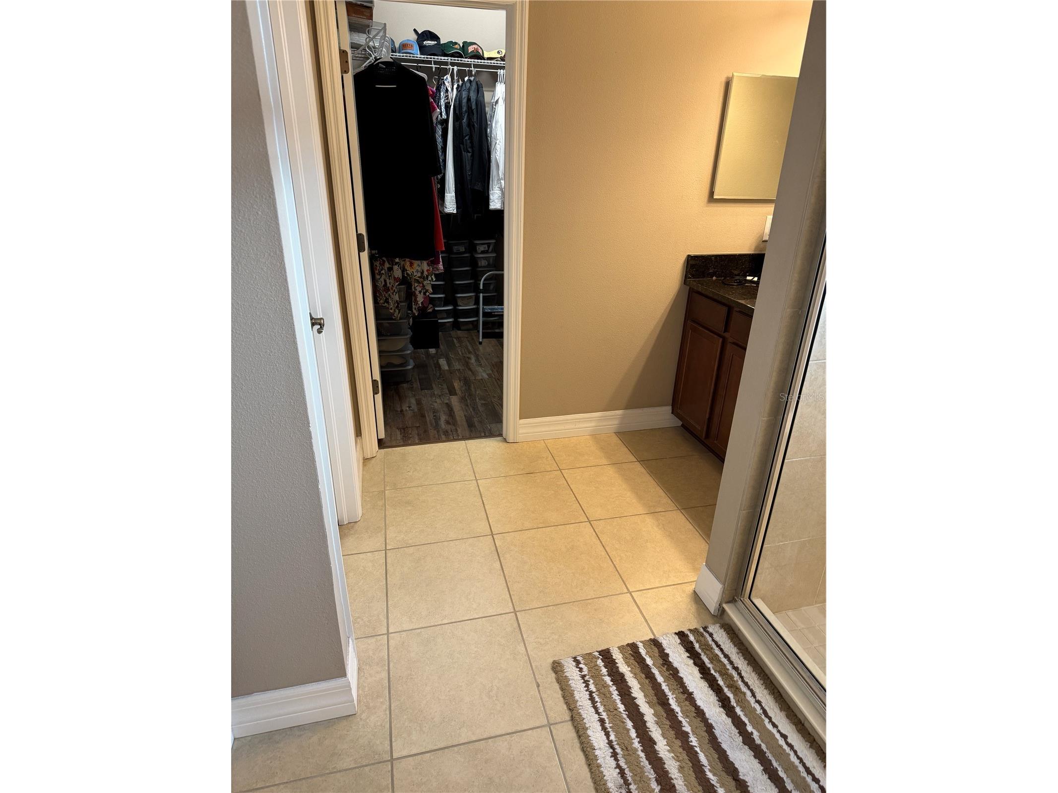 4432 Vermillion Sky Drive Wesley Chapel FL 33544 TB8493301 image30