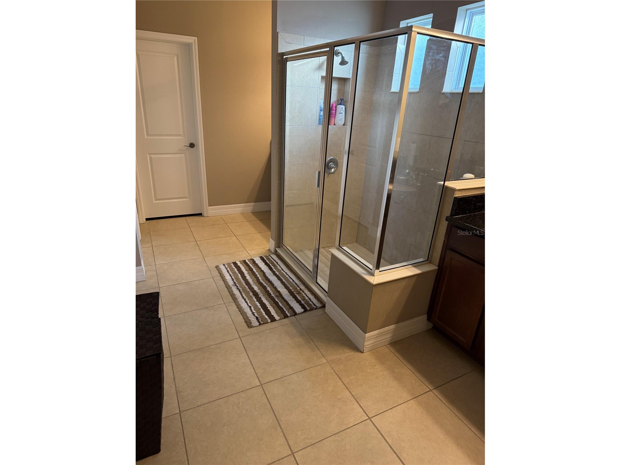 4432 Vermillion Sky Drive Wesley Chapel FL 33544 TB8493301 image31