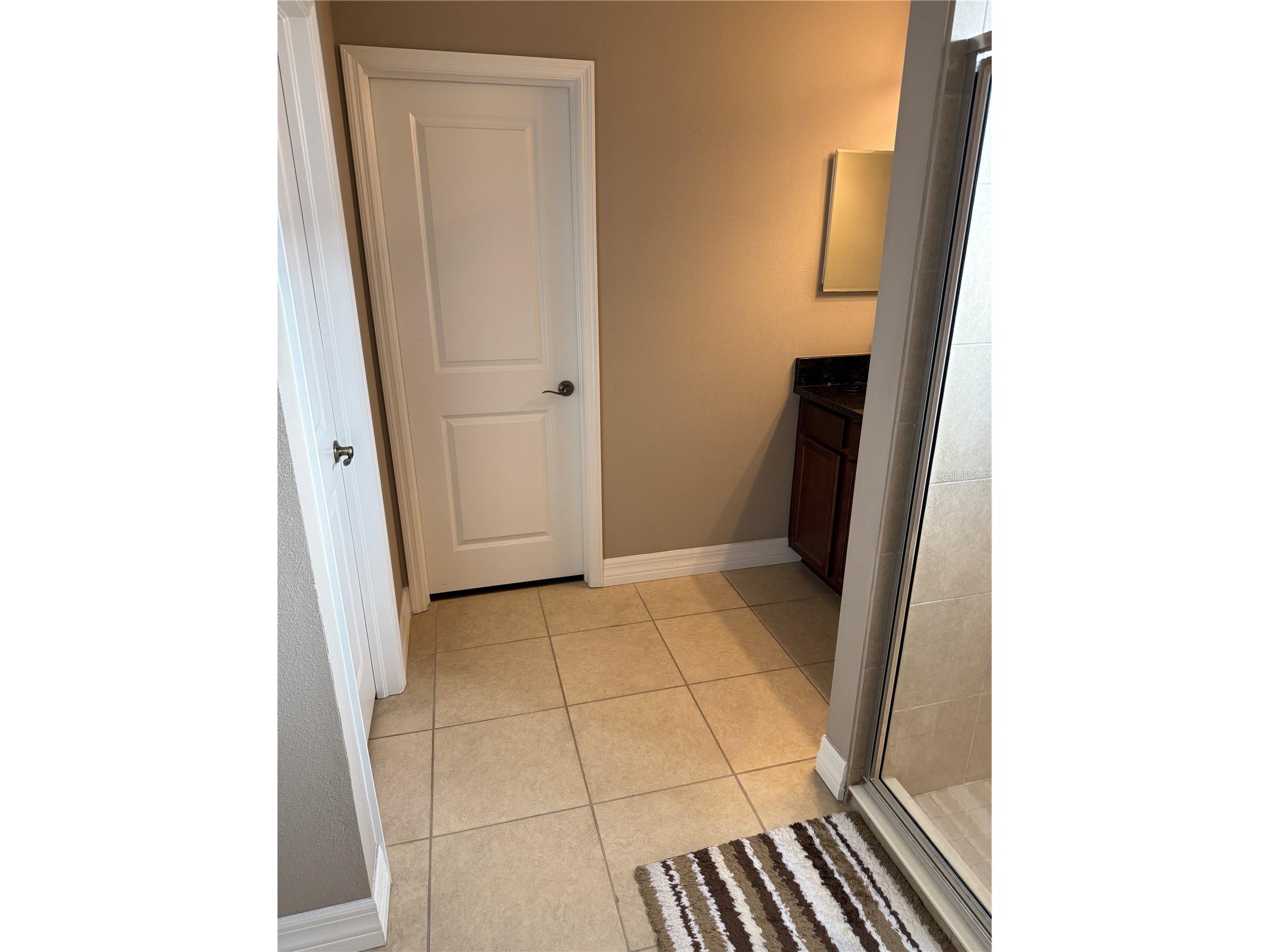 4432 Vermillion Sky Drive Wesley Chapel FL 33544 TB8493301 image32