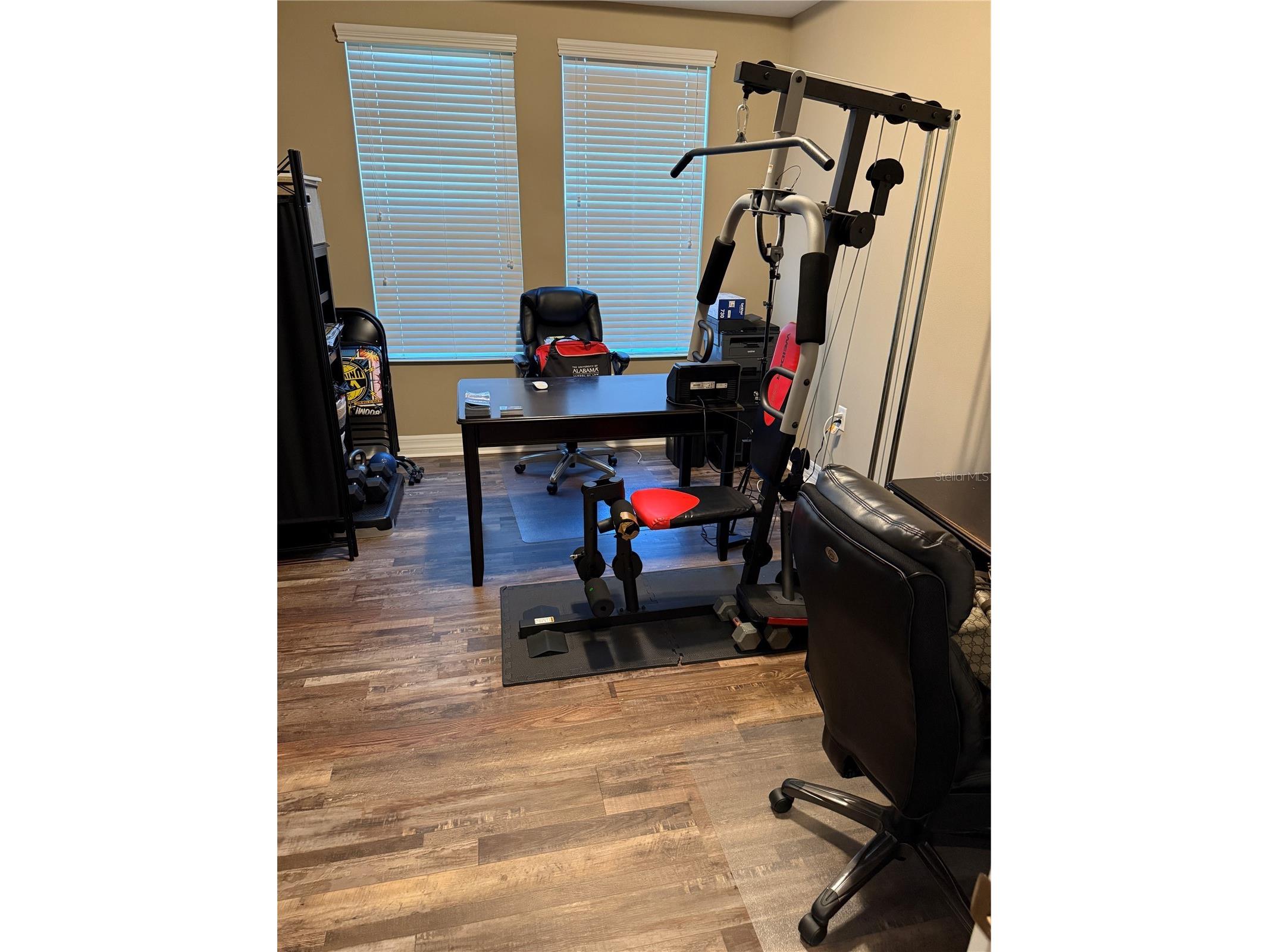 4432 Vermillion Sky Drive Wesley Chapel FL 33544 TB8493301 image34