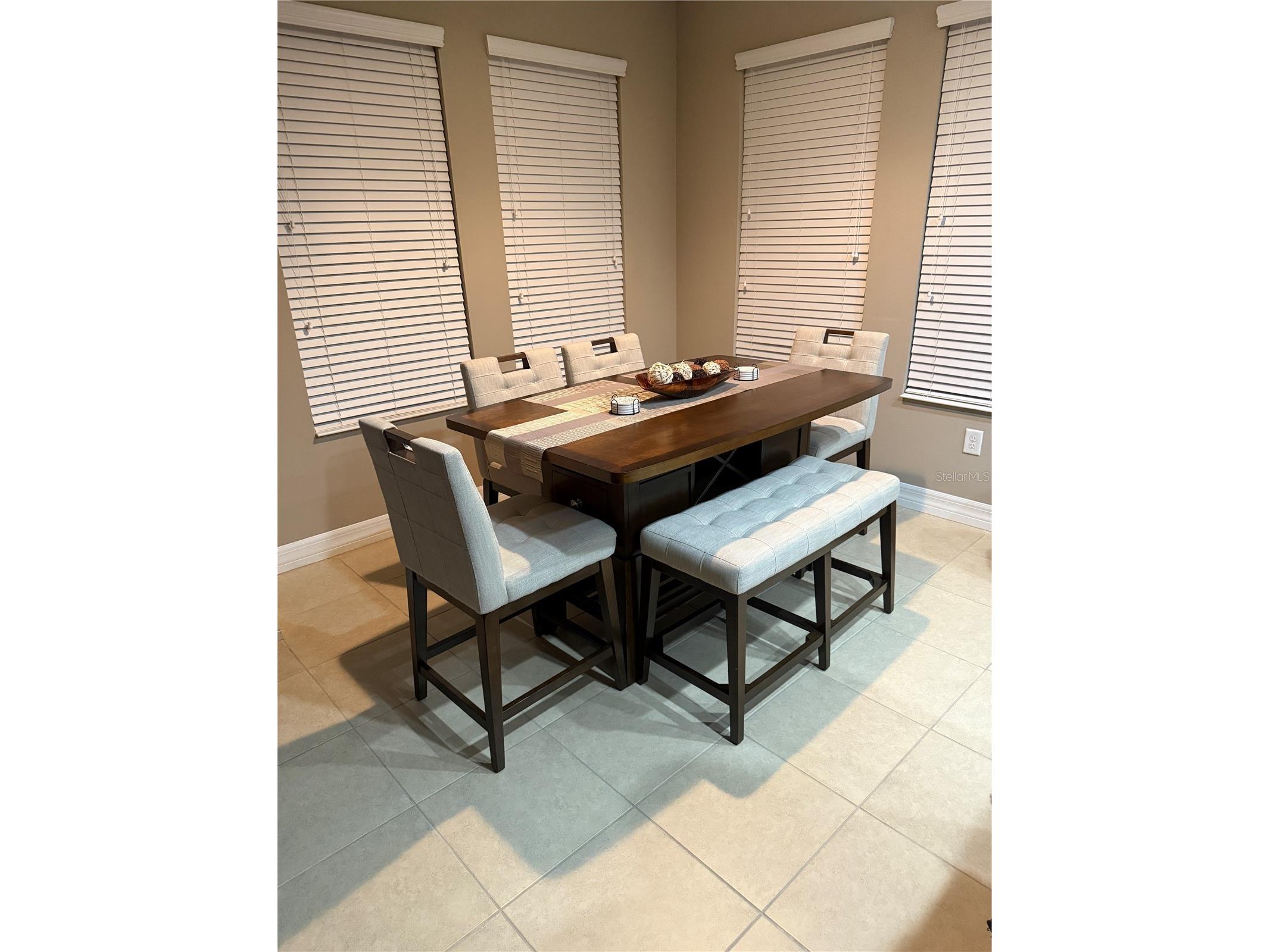 4432 Vermillion Sky Drive Wesley Chapel FL 33544 TB8493301 image5