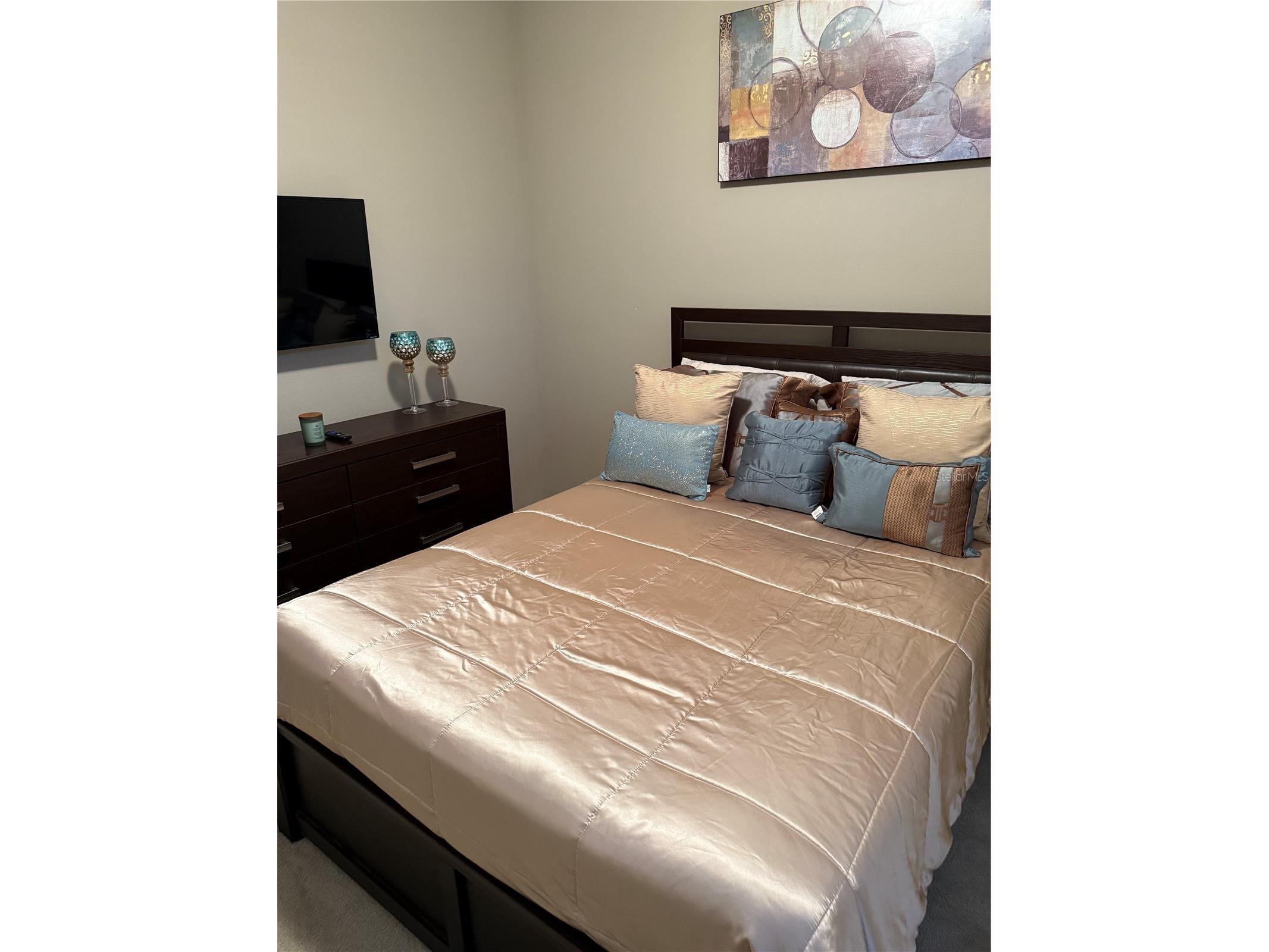 4432 Vermillion Sky Drive Wesley Chapel FL 33544 TB8493301 image6